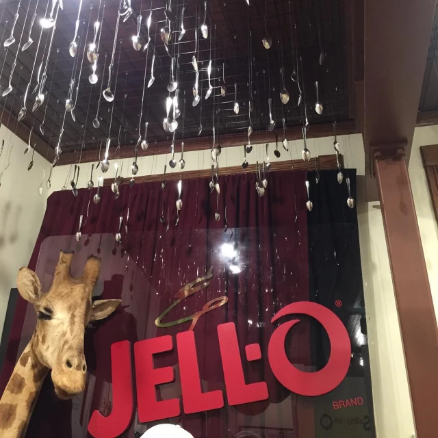a giraffe looking in a store window
