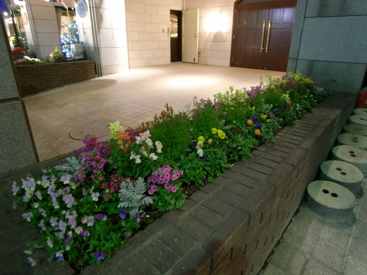 a variety of flowers near a building entrance