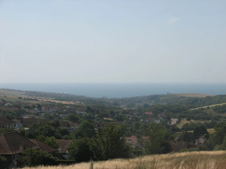 some houses and trees on a hill overlooking a body of water