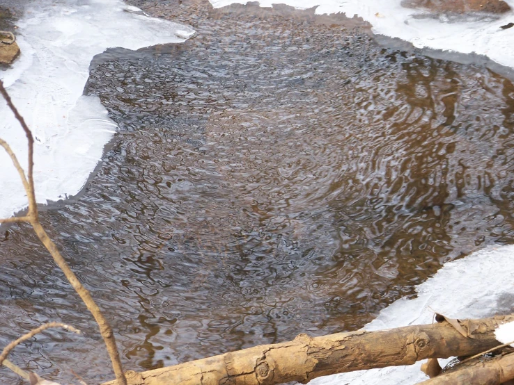 the reflection of trees in the water is seen