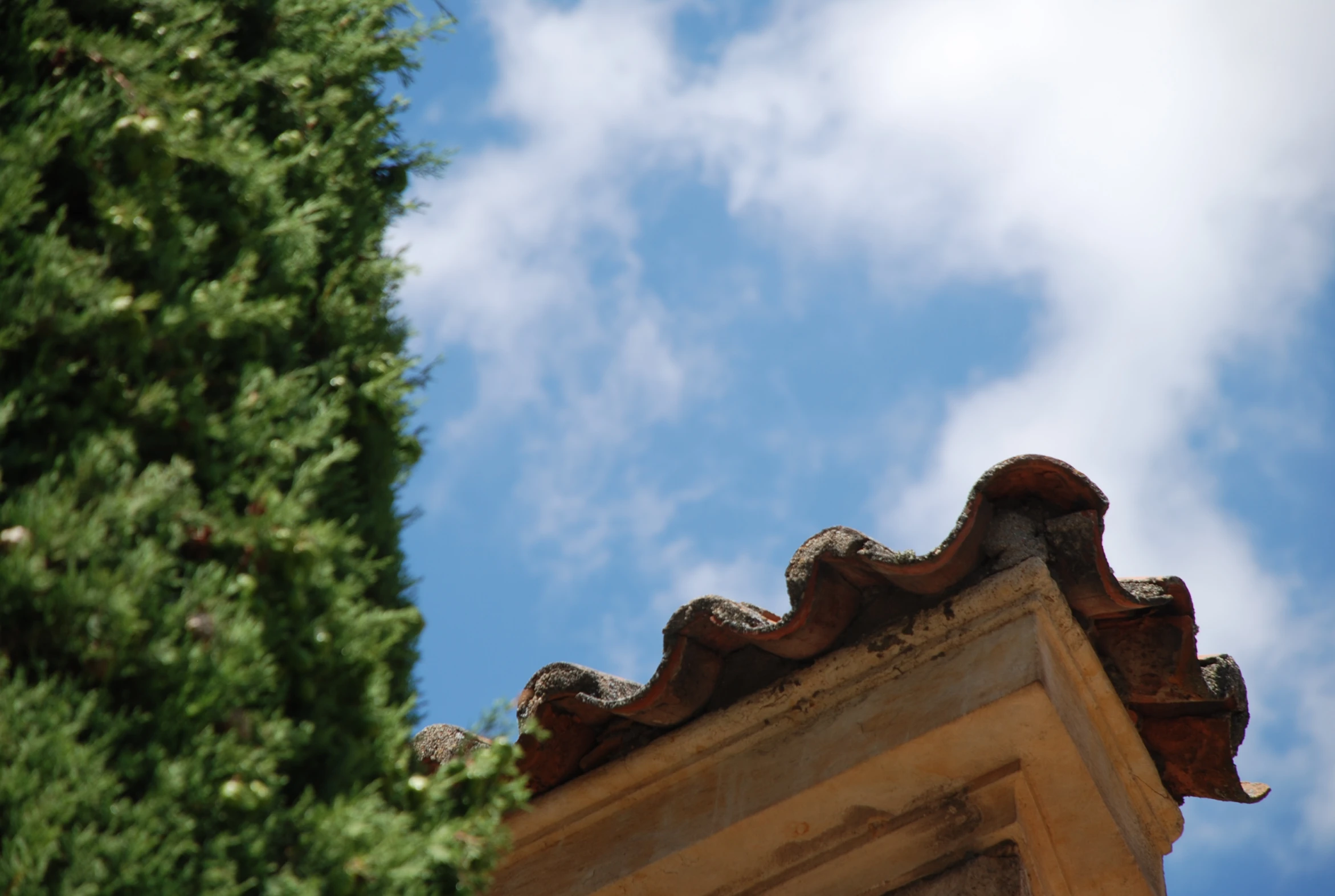 view looking up at the weather vane on an old building