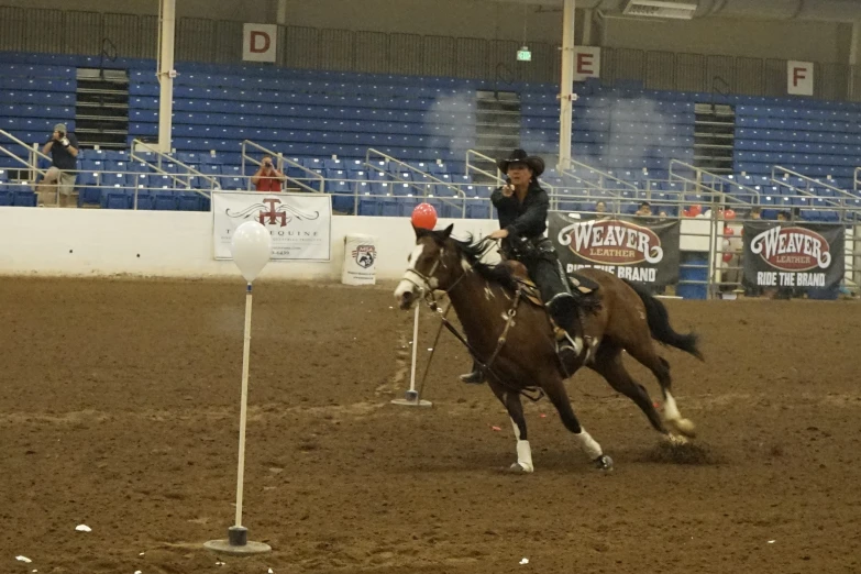 a person riding on the back of a brown horse in an arena