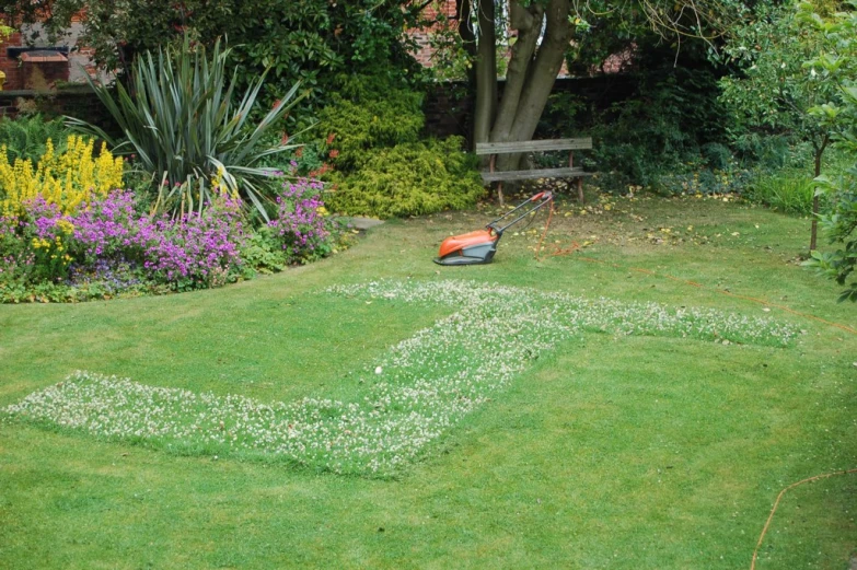 an empty yard, with a lawn mower and bench