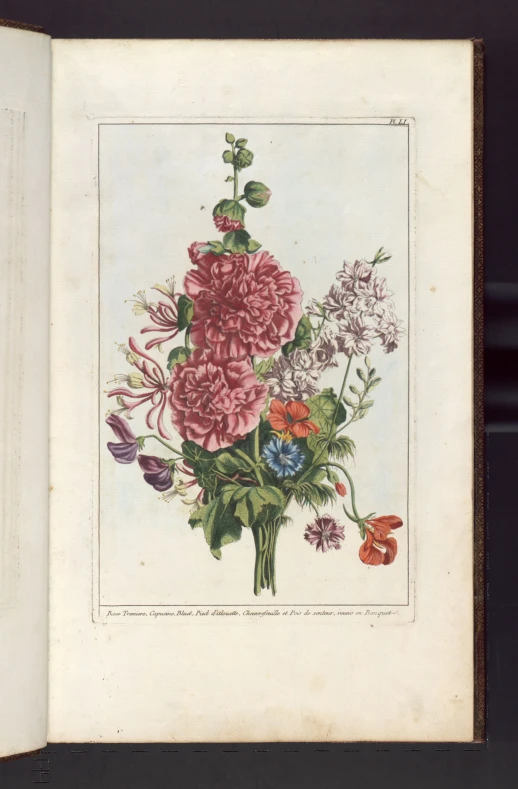 an open book showing colorful flowers inside