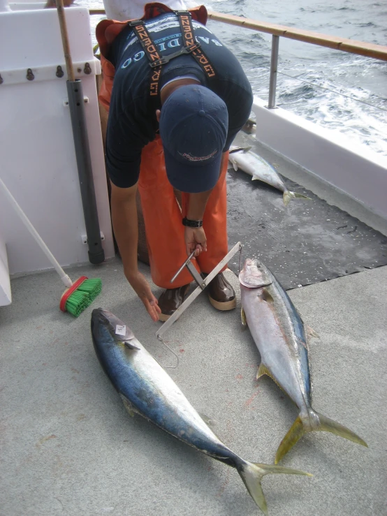 a person holding a hook in one hand over a fish