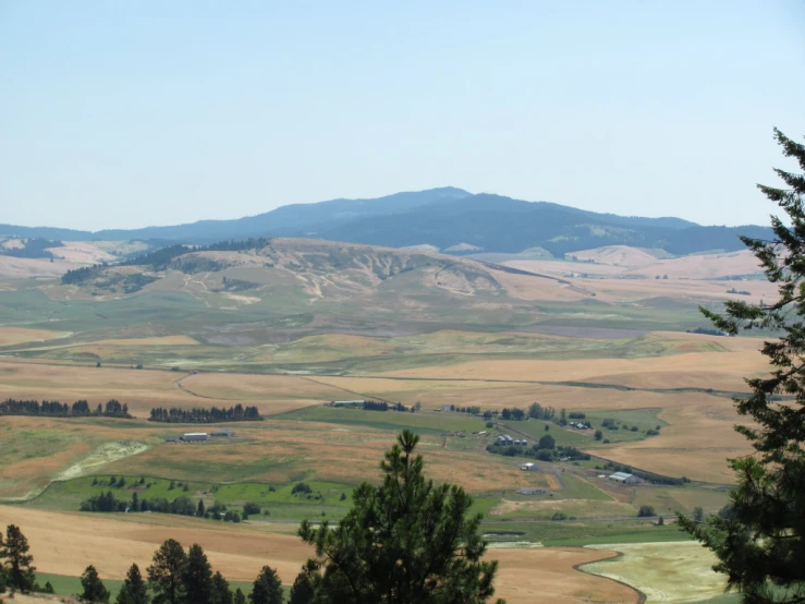 the beautiful scenery of a countryside, with some trees and mountains in the background