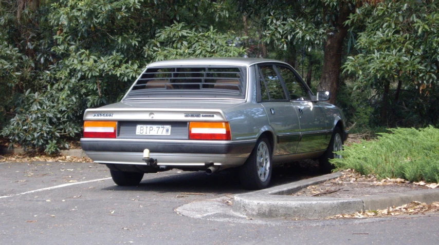 a car parked on a road next to shrubbery