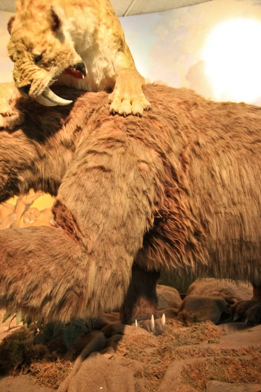 stuffed bear, stuffed fur and a white polar bear in a exhibit