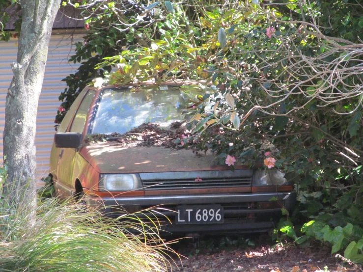 an old car is under the tree and is abandoned