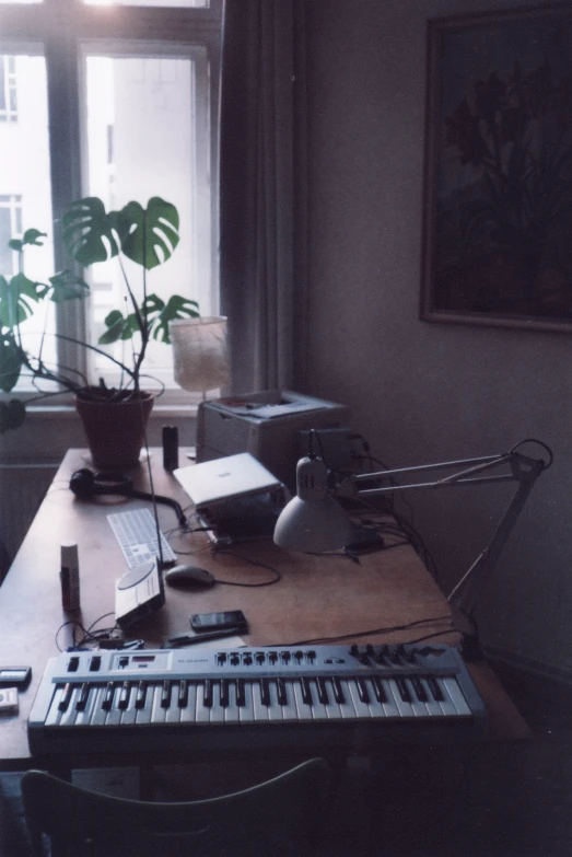 this is a keyboard and some plants on a desk