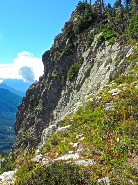 mountains and trees with blue sky and clouds