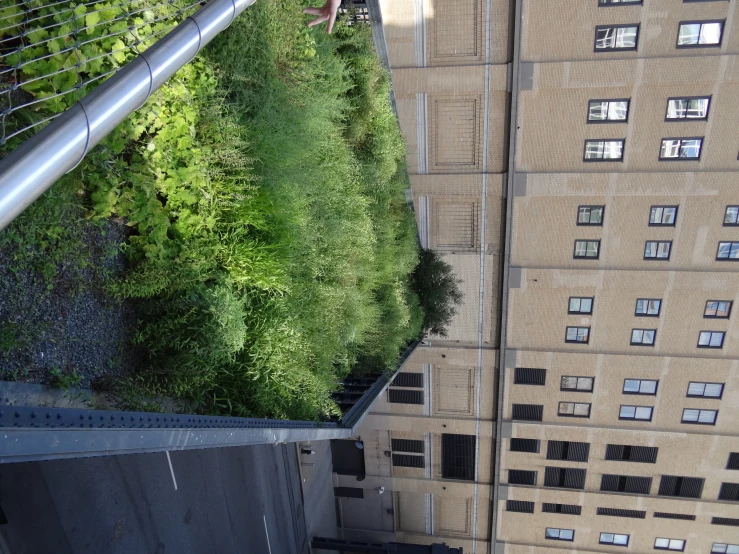 a green roof in front of buildings