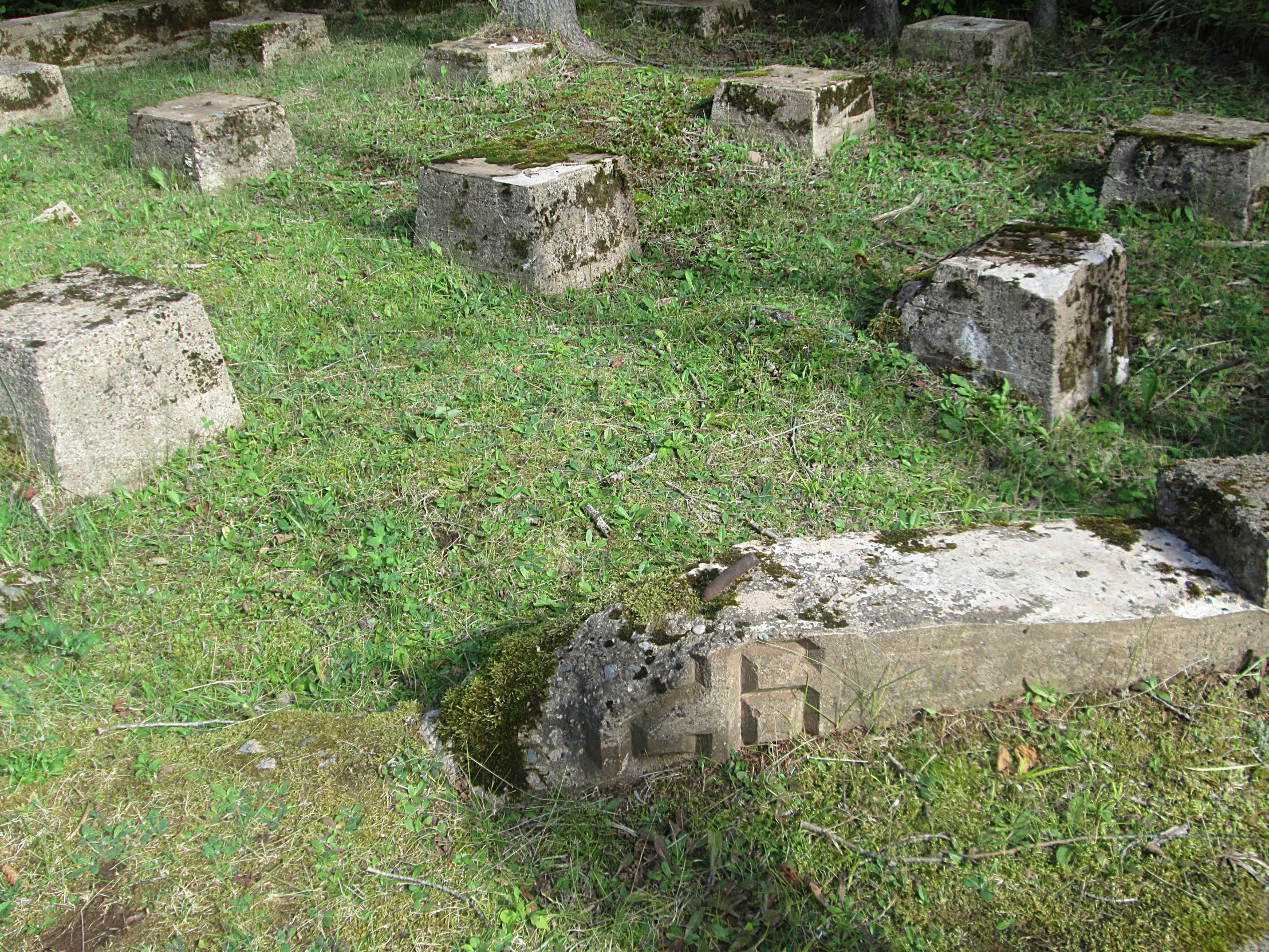 stone ruins surrounded by a grass field