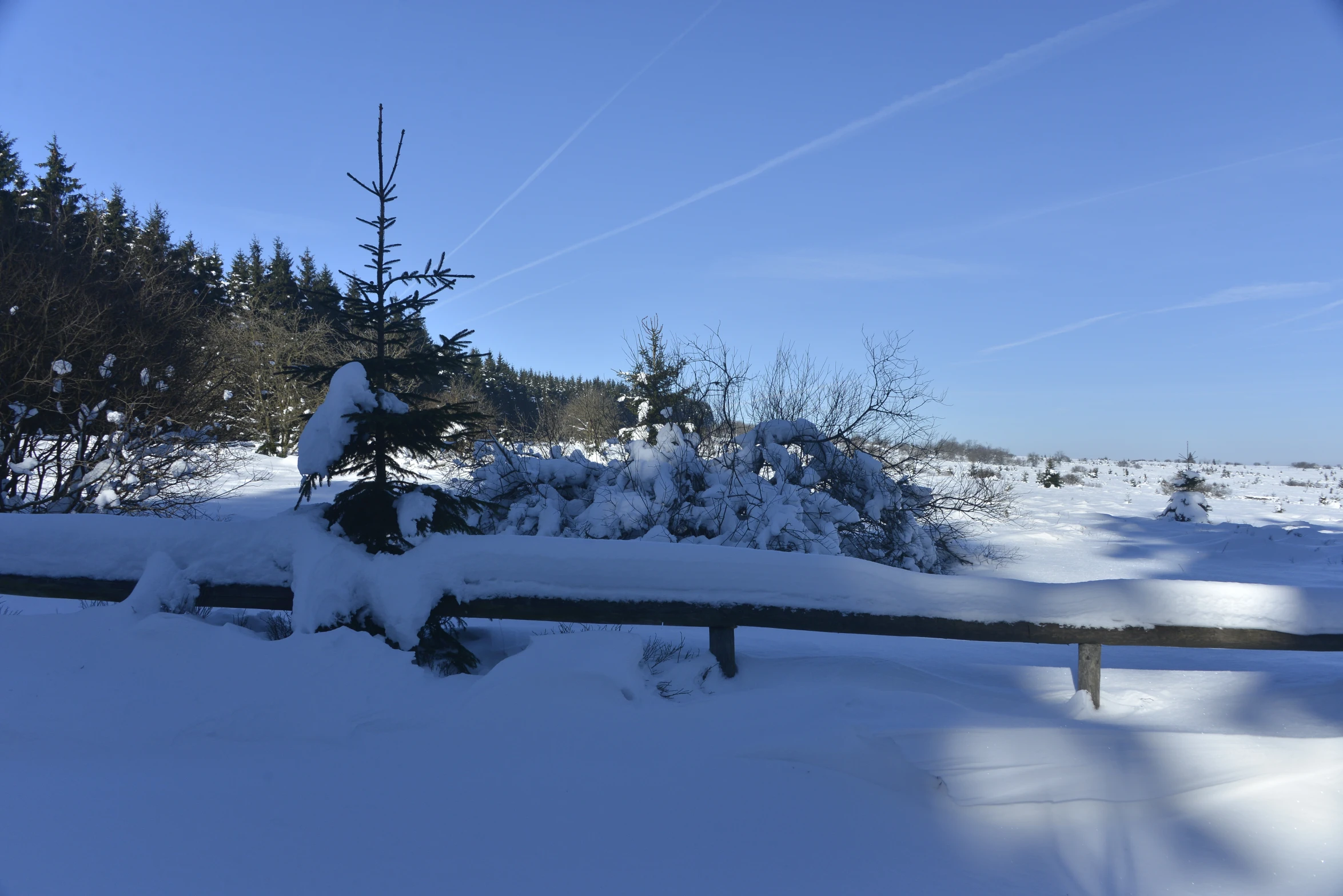 snow covers a wooden rail as it sits beside trees