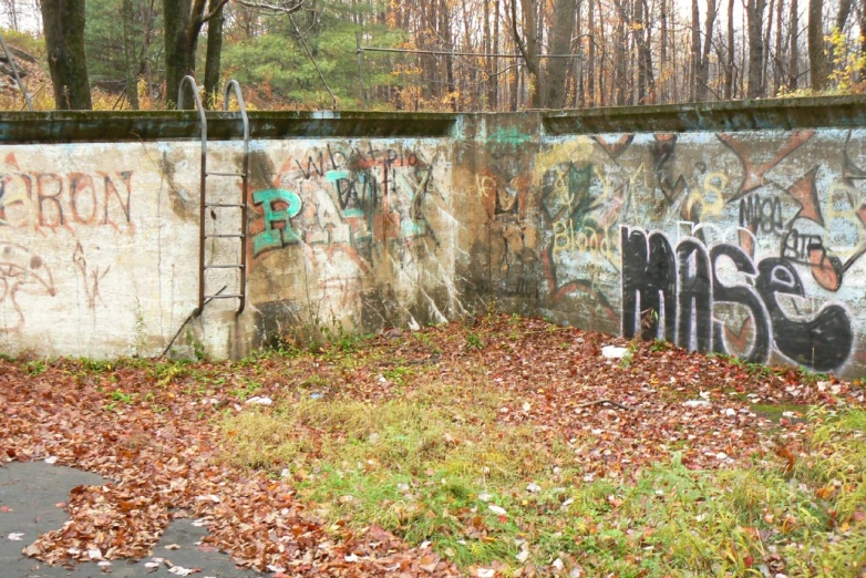 graffiti on the wall at an overgrown area