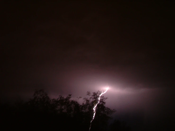 a sprinkle is hitting the tree tops on a dark night