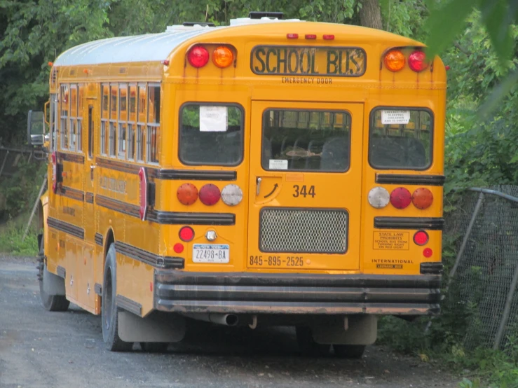 a school bus drives down a tree lined road