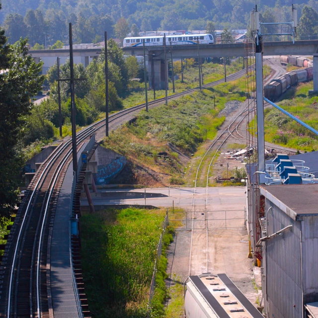 a train going down a track next to tall trees