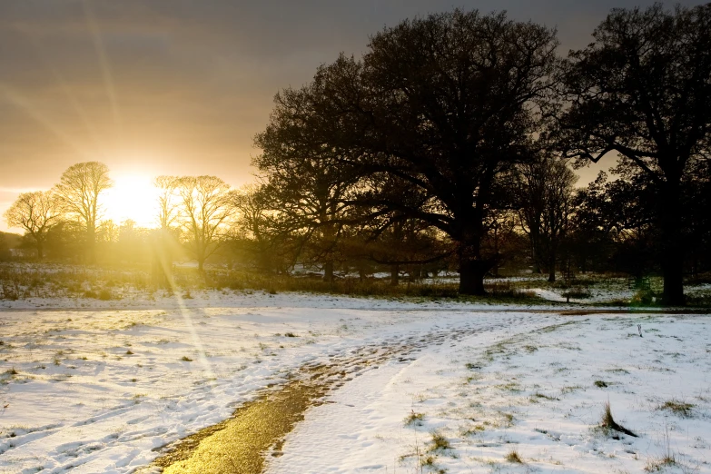 an open field is covered in white snow