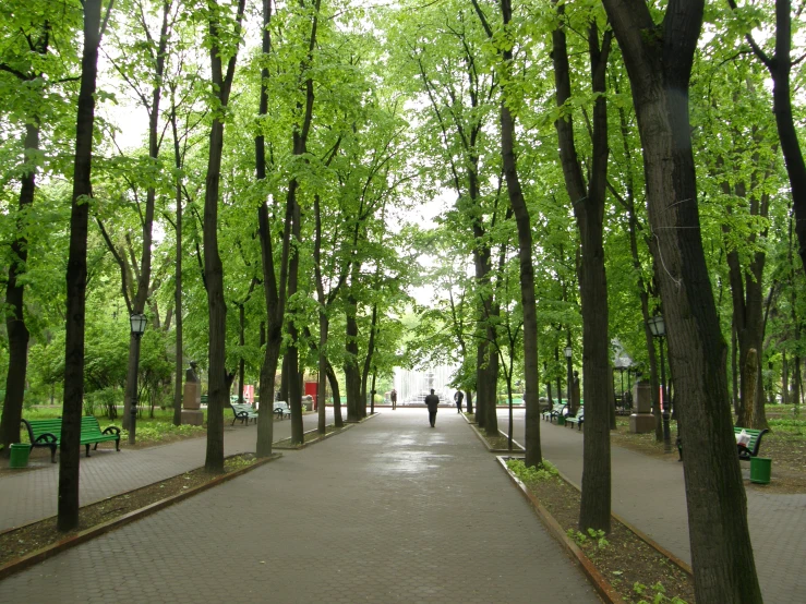 people walking down a park pathway surrounded by trees
