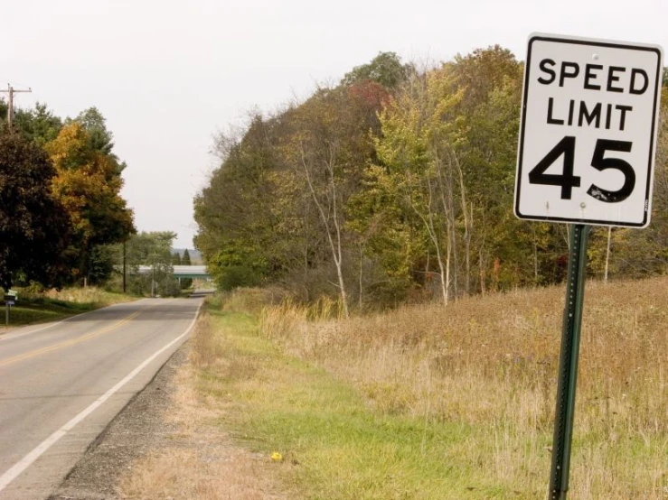 a speed limit sign that reads 45 on it