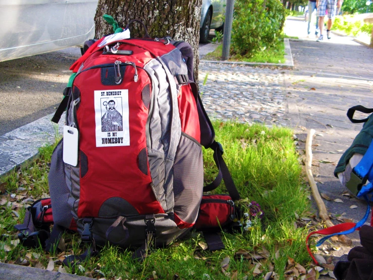 a large backpack next to a tree in the grass