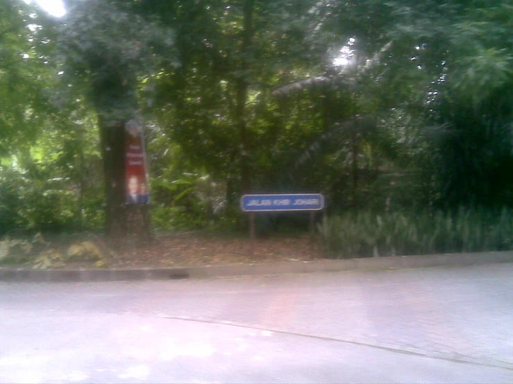 a stop sign on a quiet street with lots of trees in the background