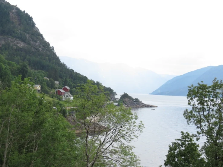 a very large body of water with lots of green trees