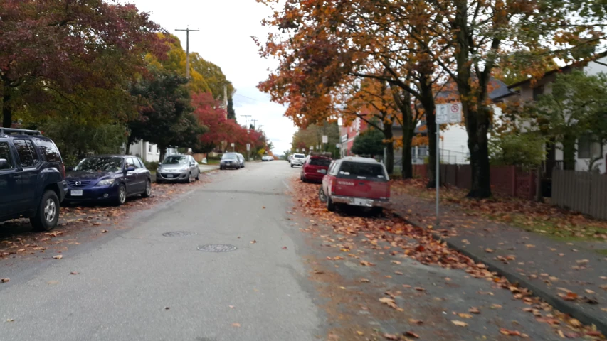 cars parked on the curb in front of some trees