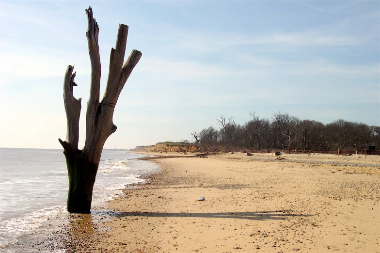 a sandy beach with no water and footprints on the ground