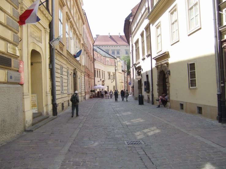 a bunch of people walk around in the street