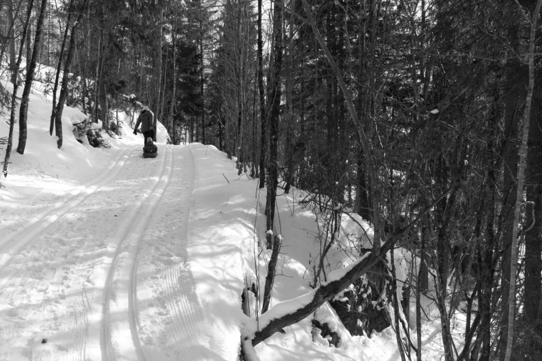 black and white pograph of a single skier on a trail