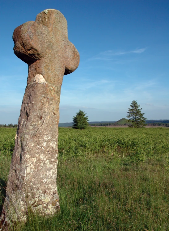 a large rock sitting on top of a lush green field