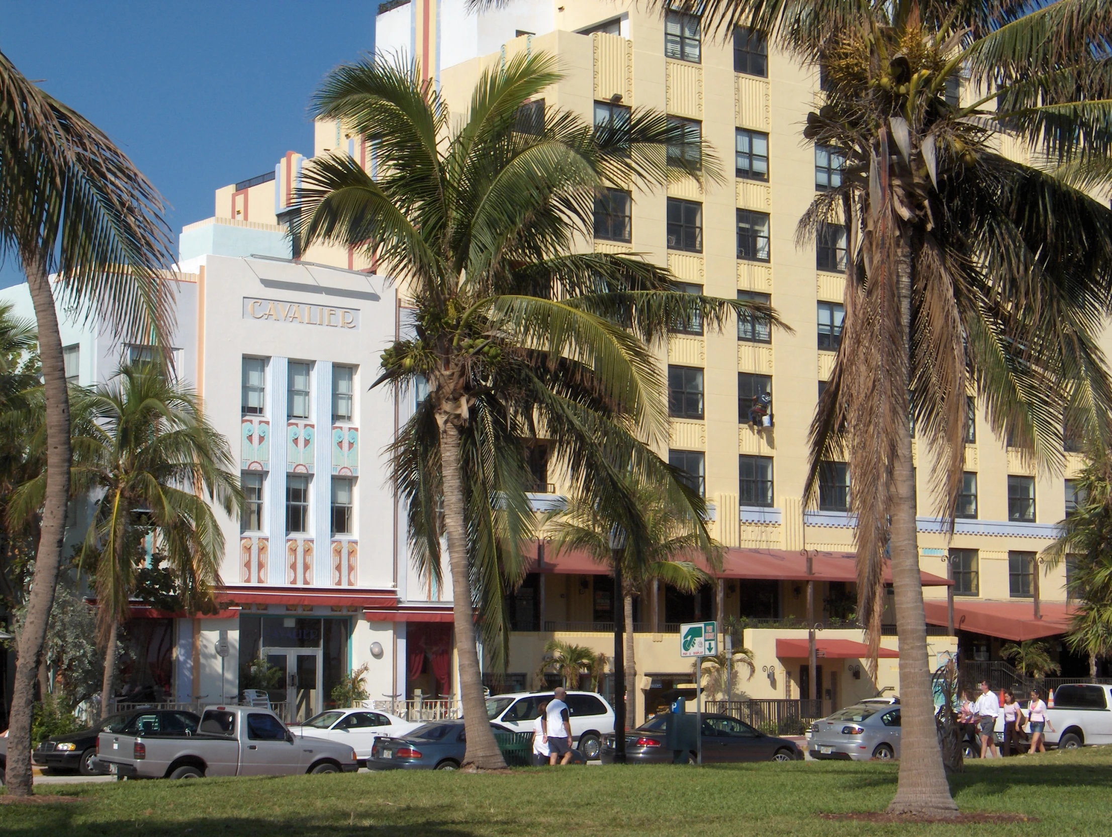 palm trees surrounding the city buildings with parked cars in front of it