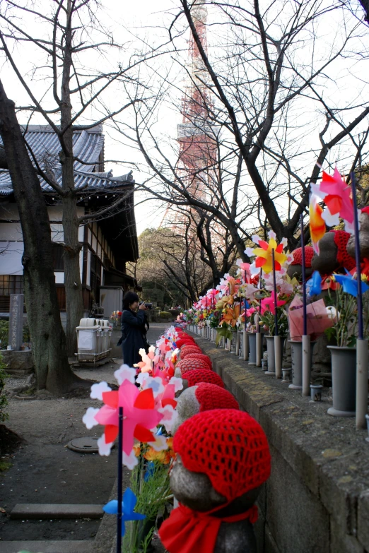 the flowers are arranged in the flowerbed lined path