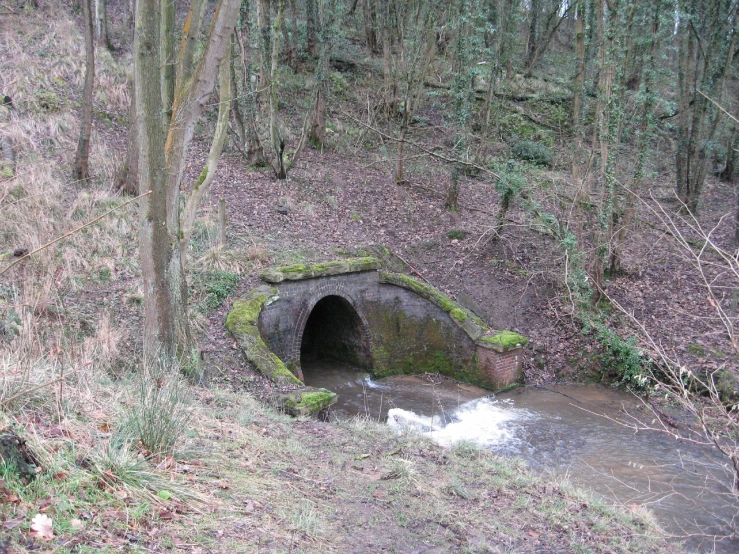 a tunnel built into a wooded area with moss growing in the water