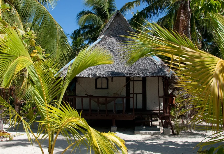 a hut sitting under some palm trees near some buildings