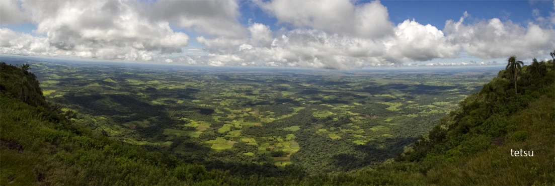 a panoramic view of a forest with green fields and clouds in the distance