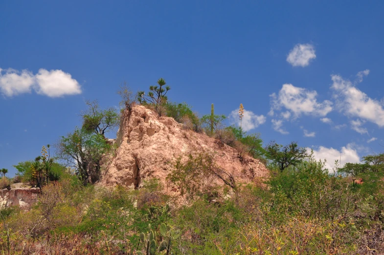 a large rock outcropping next to some trees