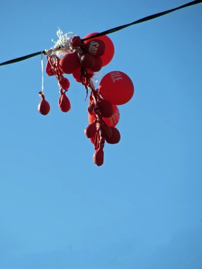 several red balloons floating in the air