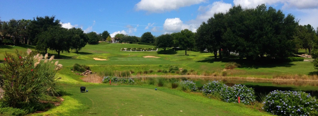 the view of a golf course, the view from behind