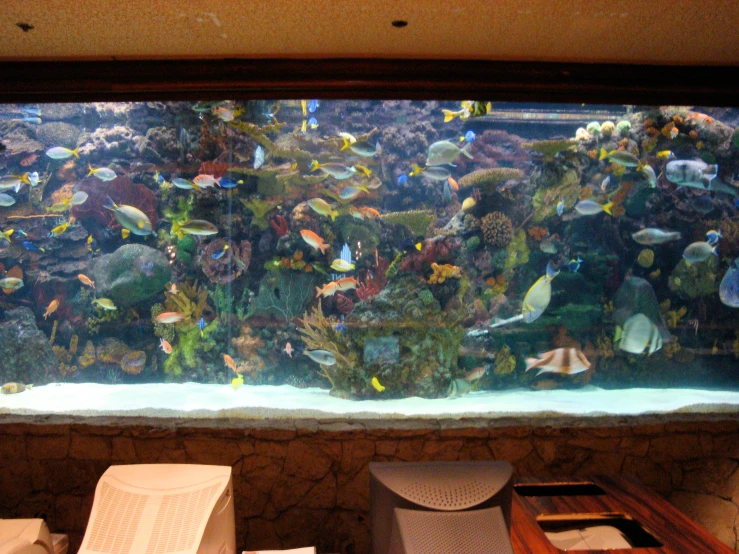 a very large aquarium filled with fish inside of a room