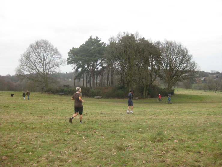 people are out on the grass playing frisbee