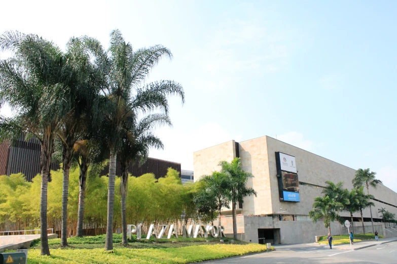 palm trees and bushes are seen in front of a building