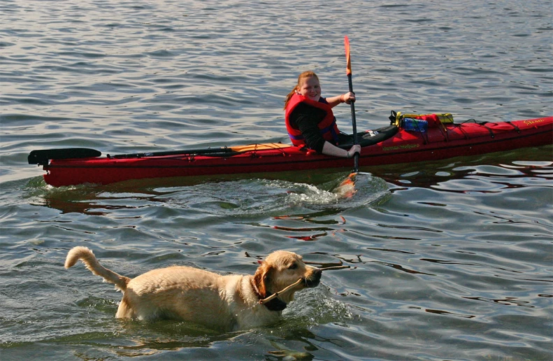 a woman on a boat is guiding a dog into the water