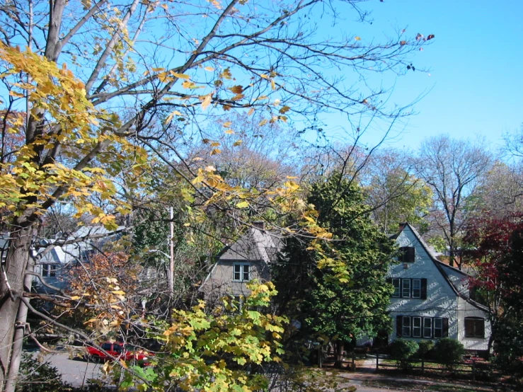 a neighborhood with many trees and houses