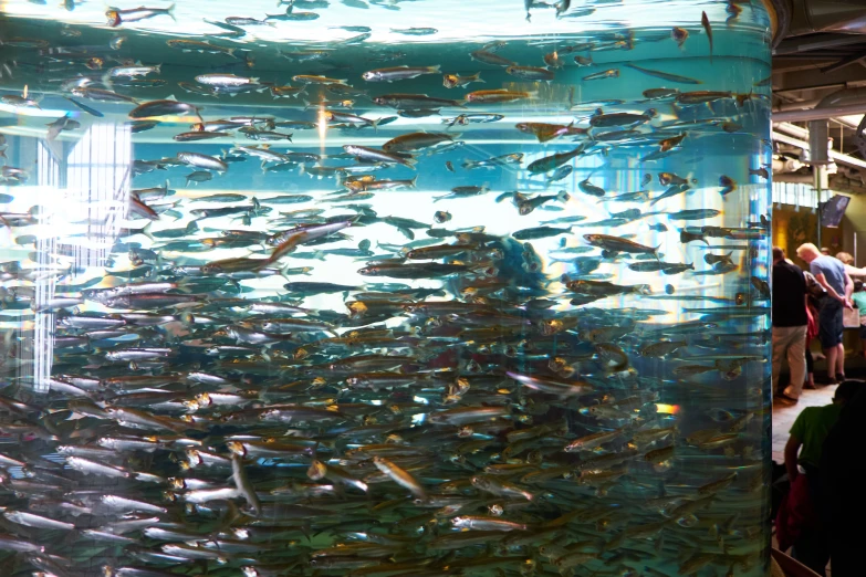 a group of people are standing around in an aquarium