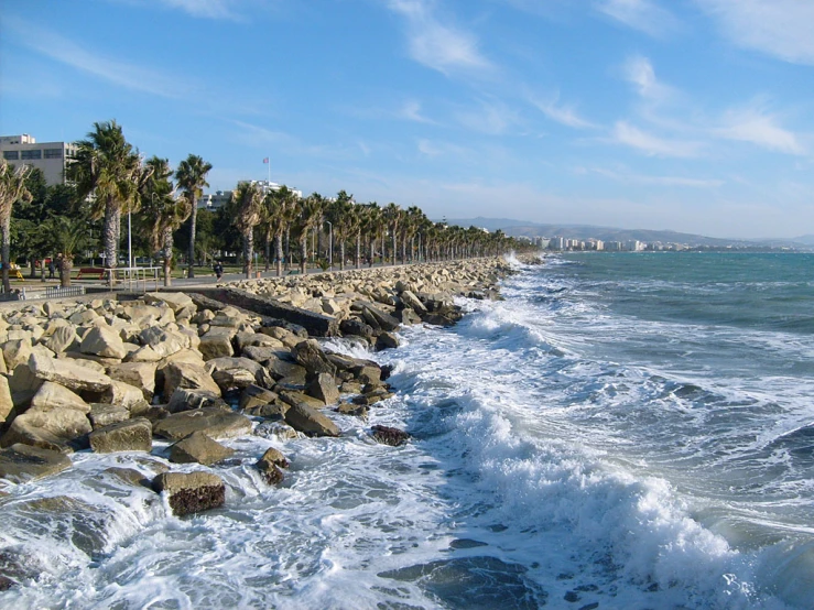 a long row of trees is lining the shore