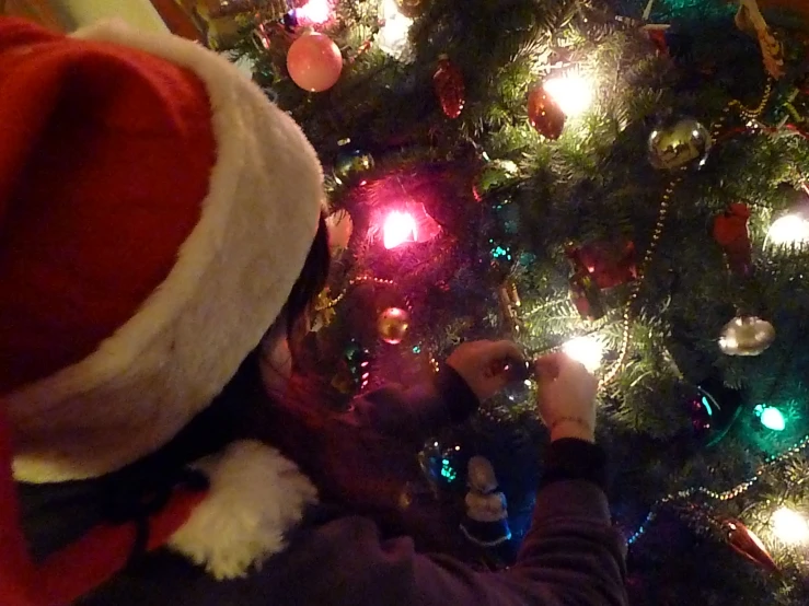 a child wearing a santa hat looks at some lights on the tree