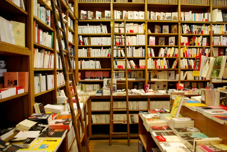 an open book store with books lined up on the shelves